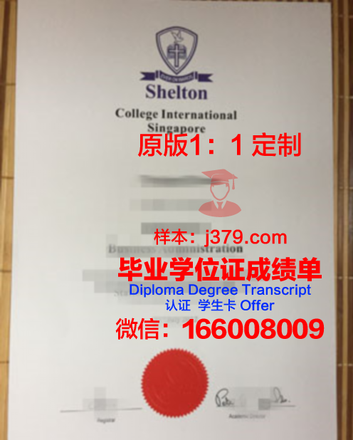 柏林商学院成绩单：揭开国际化商学院的神秘面纱