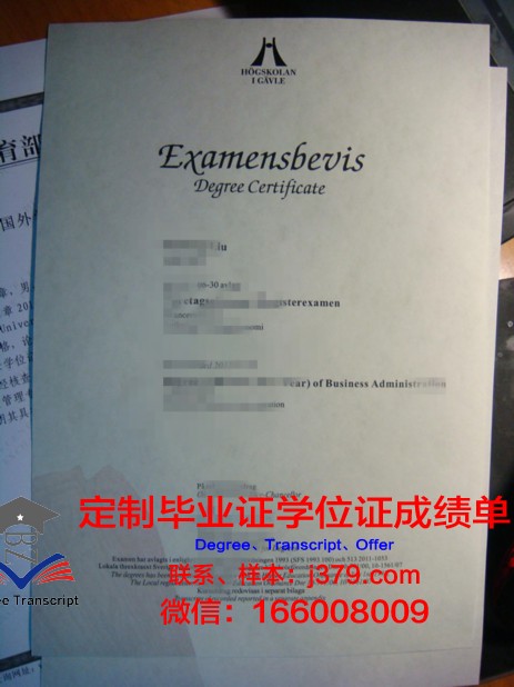 瑞典西部大学毕业学位