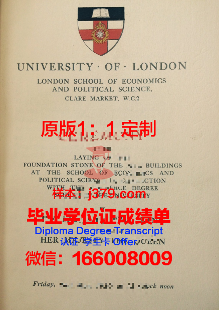 瓦萨尔学院毕业证照片(瓦萨学院知名校友)