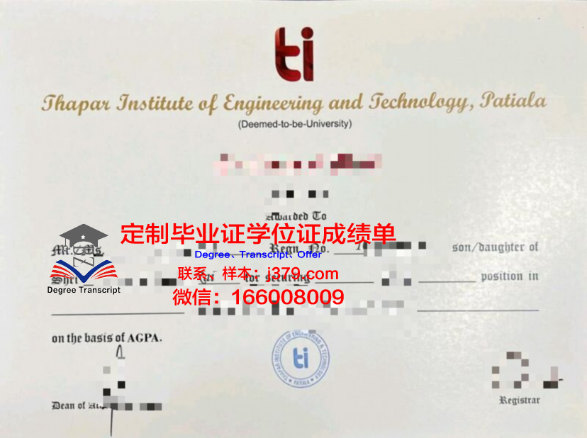纳布勒高等技术学院毕业证照片