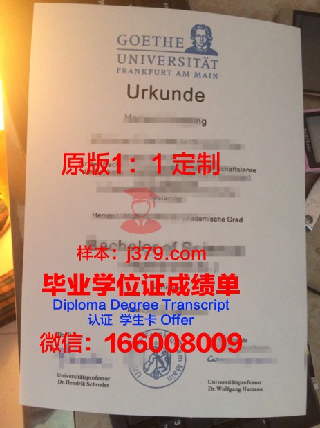 法兰克福造型艺术学院毕业证学位证(法兰克福表演艺术学院)