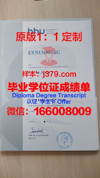杜塞尔多夫应用技术大学毕业证成绩单：一张承载荣誉与梦想的纸