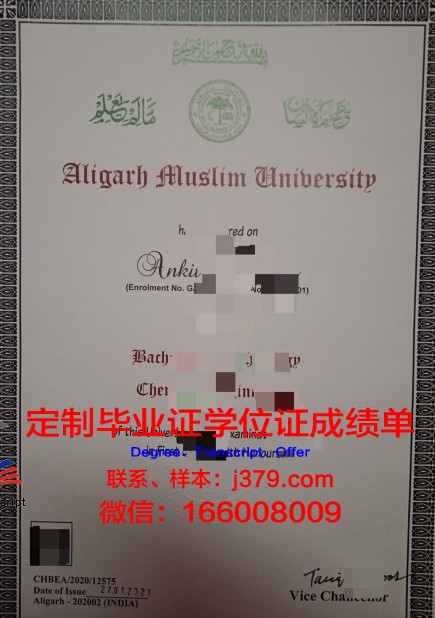 胡阿里布迈丁科技大学毕业证定制：传承与创新的双重魅力