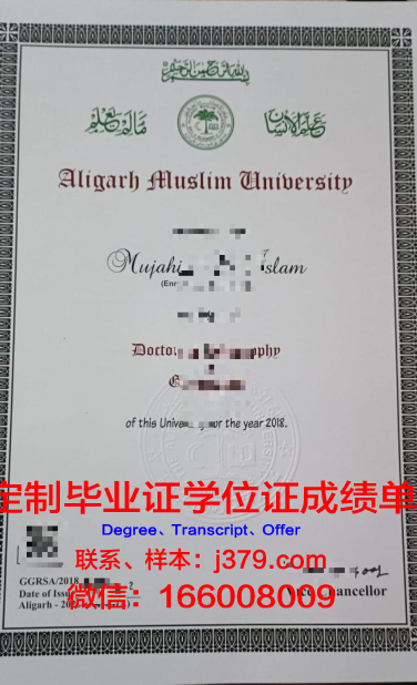胡阿里布迈丁科技大学毕业证定制：传承与创新的双重魅力