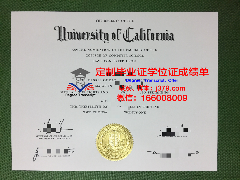 波罗的海国立技术大学毕业证：一份承载荣誉与梦想的文凭