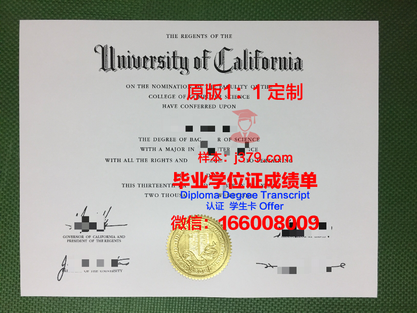 理工类毕业证图片：见证青春与成长的印记