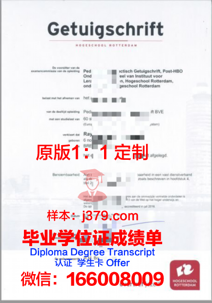 波尔多高等商学院毕业证书图片模板(波尔多大学申请条件)