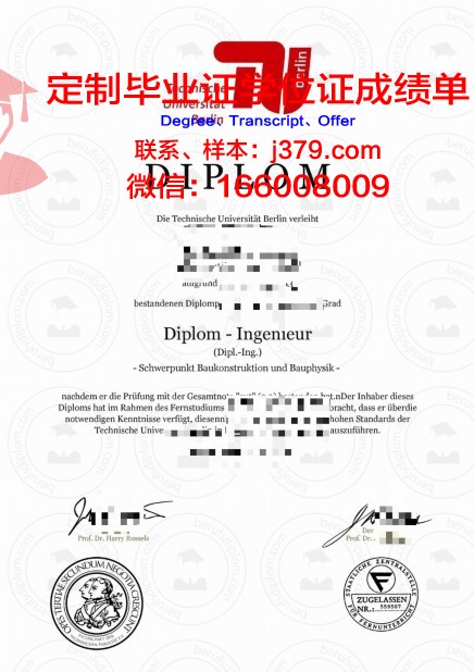 柏林斯泰恩拜斯应用技术大学毕业证书图片模板(德国柏林斯泰恩拜斯大学)