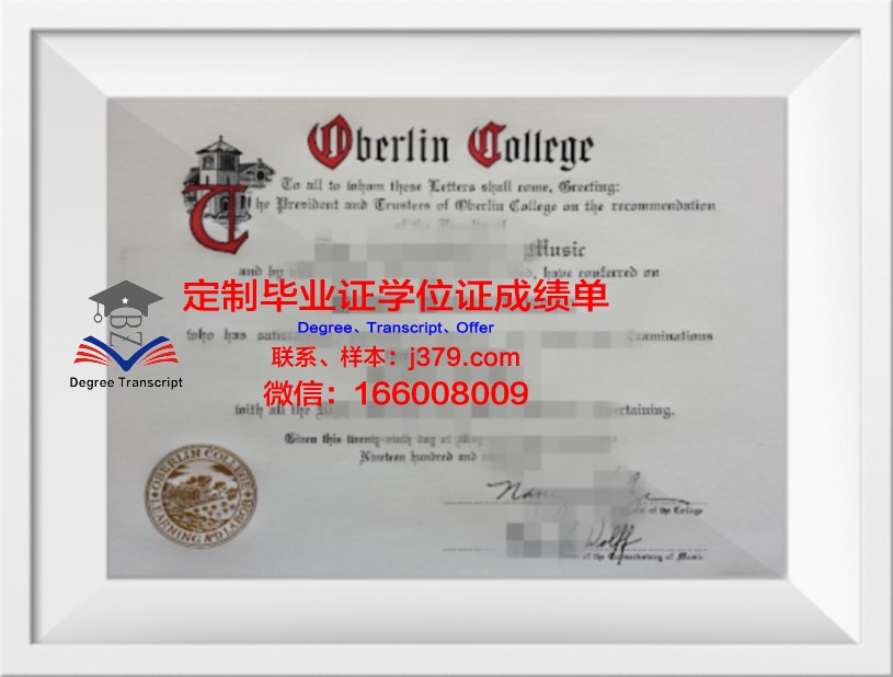 柏林斯泰恩拜斯应用技术大学毕业证书图片模板(德国柏林斯泰恩拜斯大学)