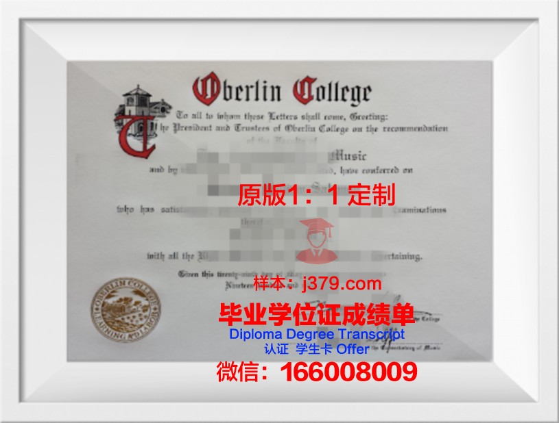 柏林媒体设计学院毕业证封面(德国柏林媒体艺术学院)