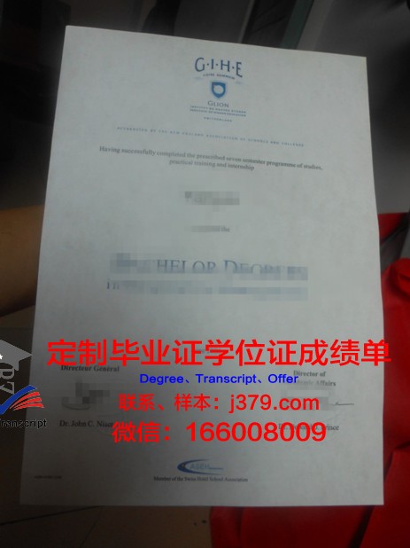里昂国立音乐舞蹈学院毕业证电子版