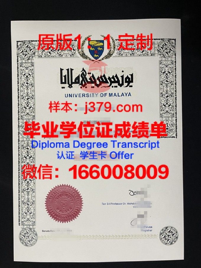 马来亚大学diploma证书(马来亚大学llm)