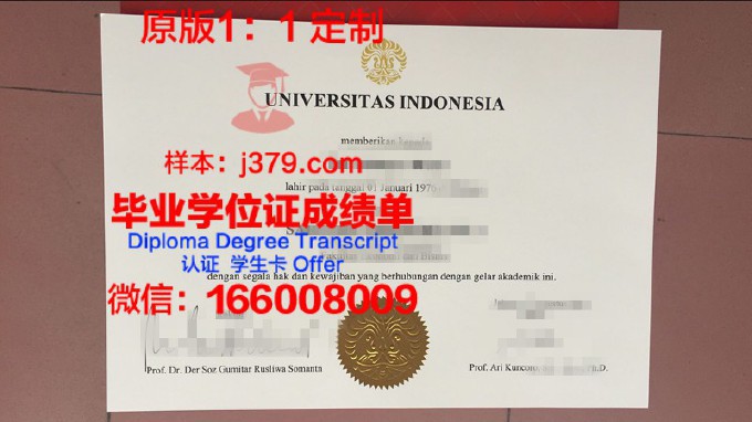 印度尼西亚普瑞玛大学学生卡(印度尼西亚prima大学)
