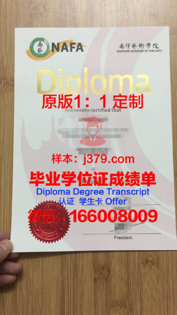 不来梅艺术学院diploma证书(不来梅艺术大学排名)