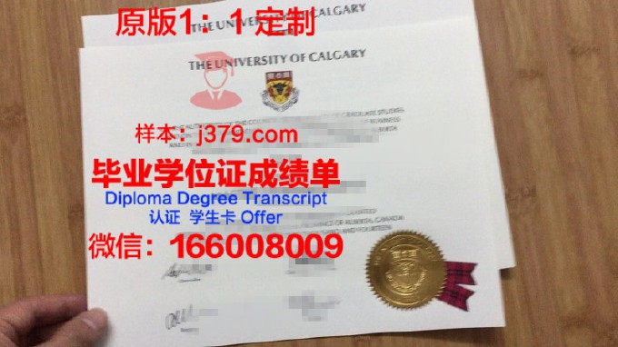 卡卢加国立大学博士毕业证(加拿大卡尔加里大学博士申请)