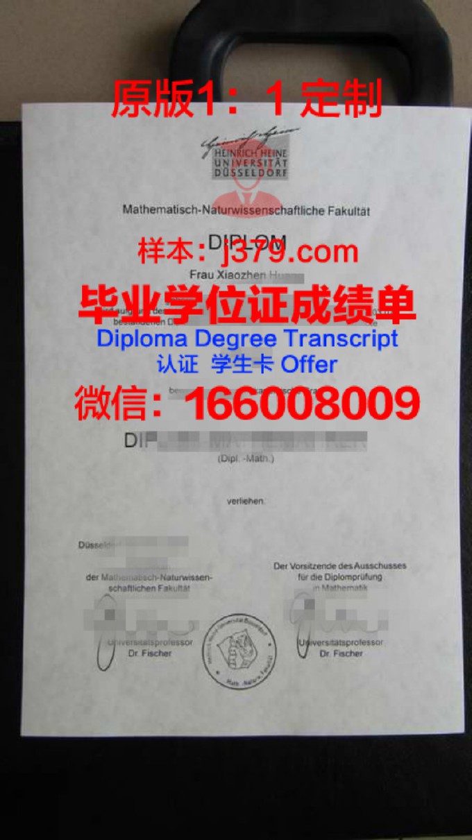 德国弗菜堡大学diploma证书(德国弗莱堡大学怎么样)